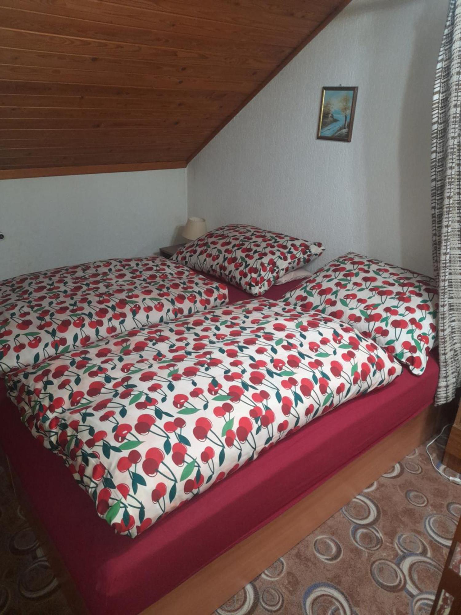 Penzion Krusnohorka Tatrovice Esterno foto